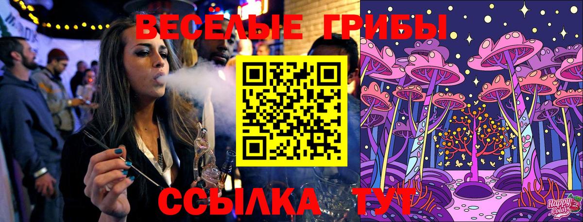 Псилоцибиновые грибы Cubensis Бахчисарай