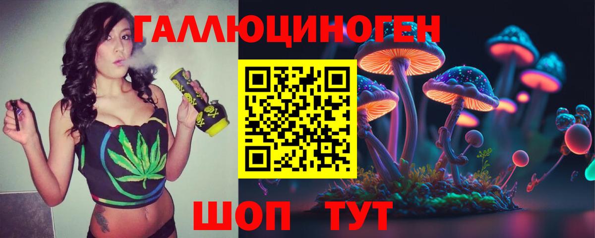 где купить наркотик  Вход с VPN  Бахчисарай  Галлюциногенные грибы прущие грибы  Псилоцибиновые грибы Psilocybe 